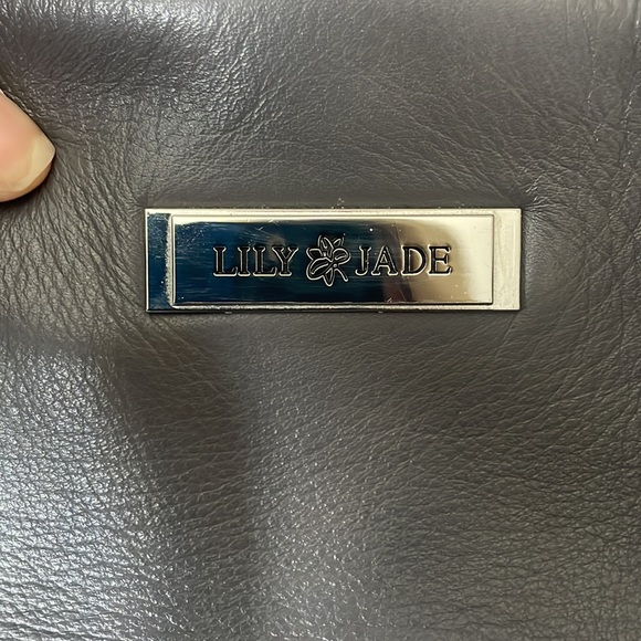 Lily Jade Rosie bag-Grey - Picture 3 of 10